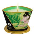 Массажное аромамасло в виде свечи, Exotic Green Tea Зеленый чай 170 мл - продажа