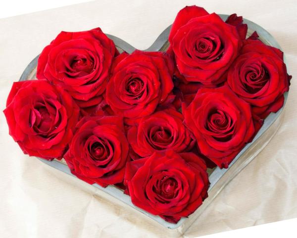 Розы недорогой подарок на день Святого Валентина