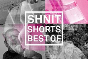 Shnit Shorts Best Of