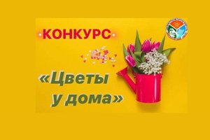 Конкурс Цветы у дома в Свердловском округе