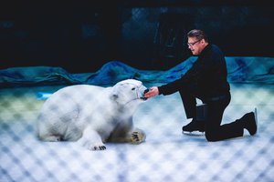 Цирк на льду Айсберг. Шоу дрессированных белых медведей