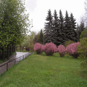 Ботанический сад Иркутского государственного университета