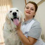 Ветеринарная клиника На Ушаковской