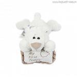 Мягкая игрушка Bebelot Миша соня (37см) BHO0805-113 (COG Limited) - продажа опт